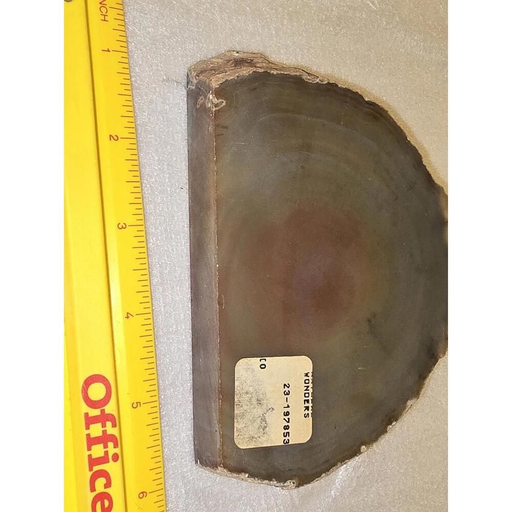 Large Natural Slice Agate Polished North Shore Round Geode 5" - Picture 2 of 3